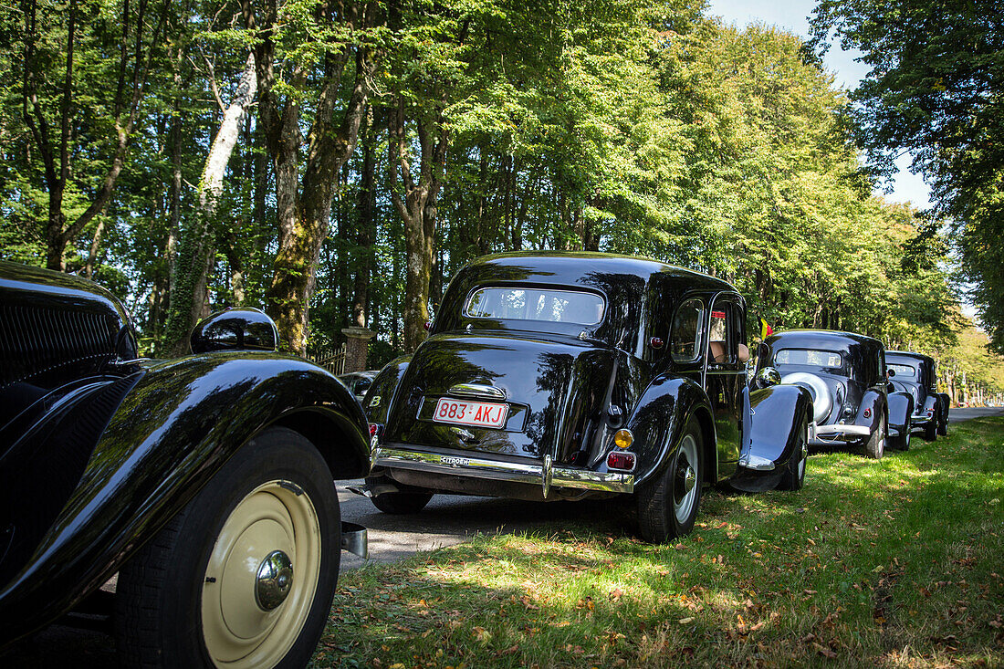 parade of collector cars, 80 years of the front-wheel drive 'traction avant', legendary car in the park of the chateau saint-simon, la ferte-vidame, eure-et-loir (28), france