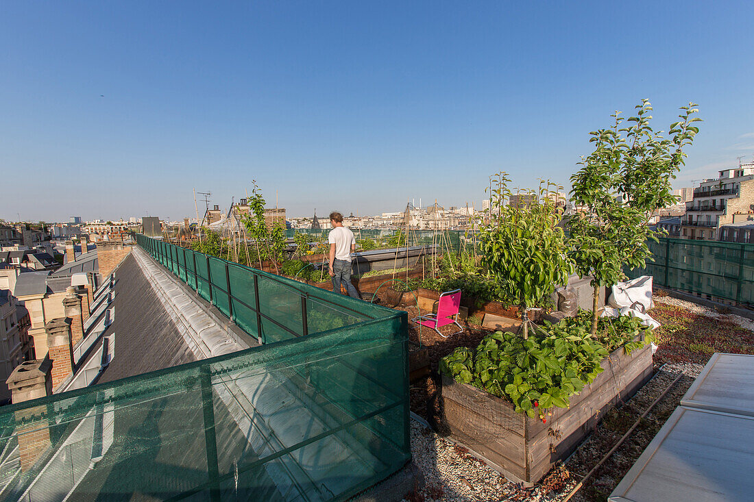 nicolas bel, engineer, experimental garden on the roof, agroparistech school, 5th arrondissement, paris (75), france