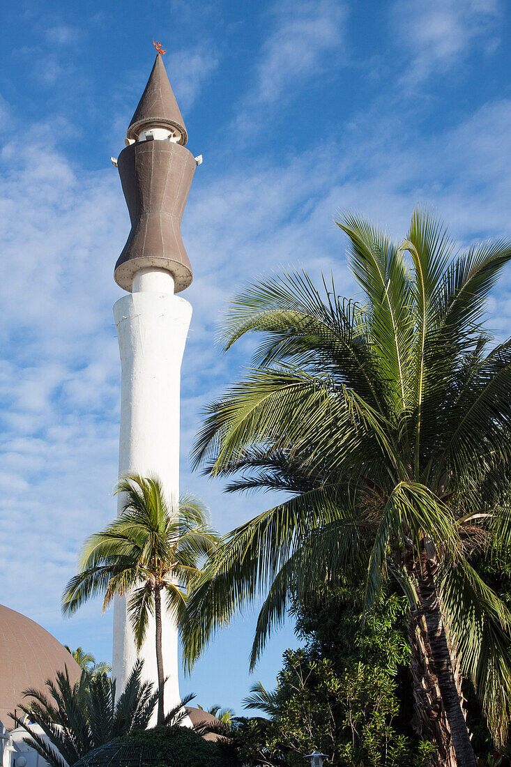 minaret of the attyab oul massadjid mosque in saint-pierre, reunion island, indian ocean, france
