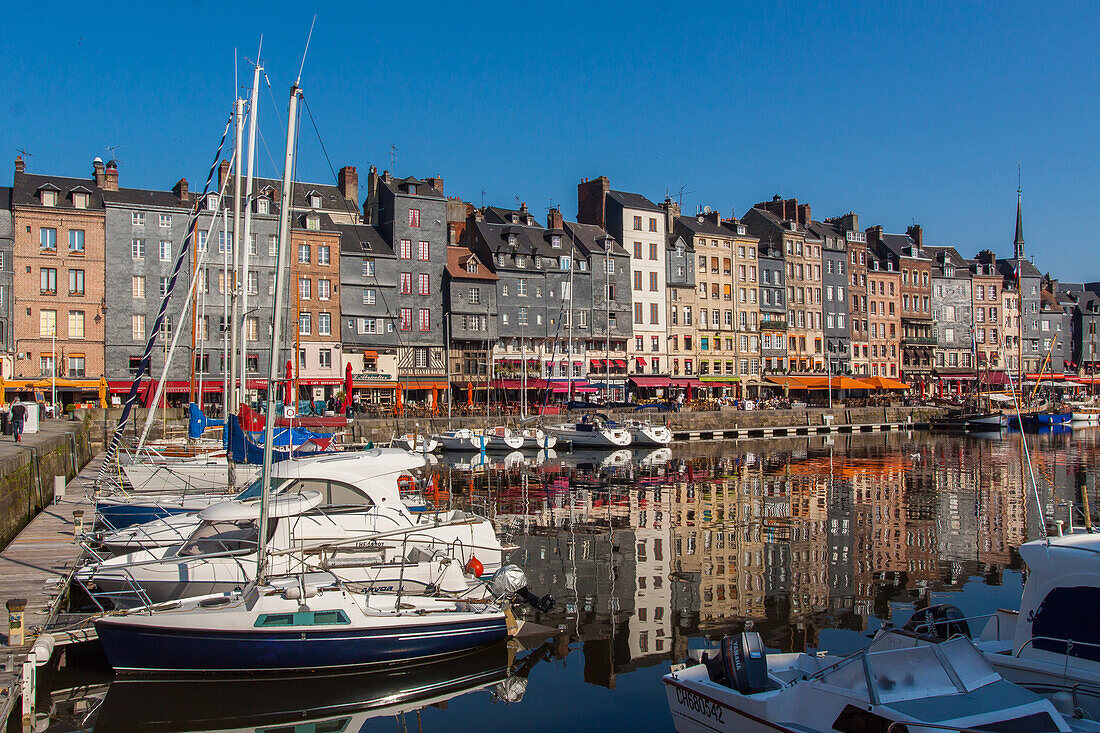 view of the old port of honfleur, marina, honfleur, (14) calvados, lower normandy region, france