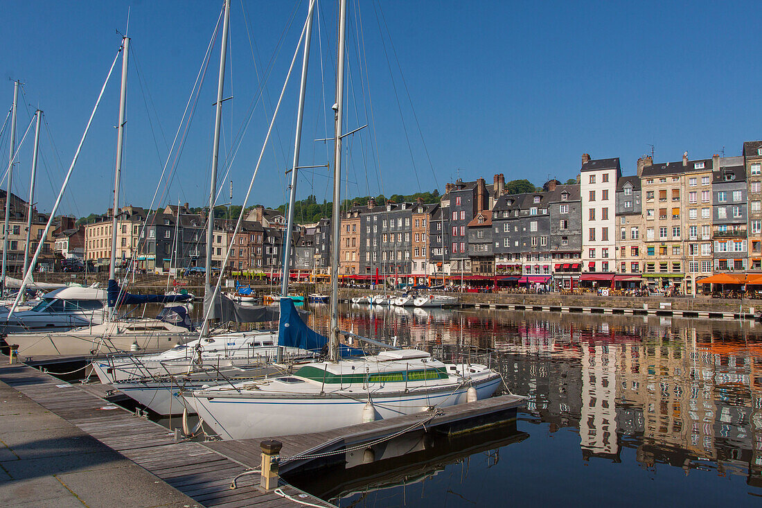 view of the old port of honfleur, marina, honfleur, (14) calvados, lower normandy region, france