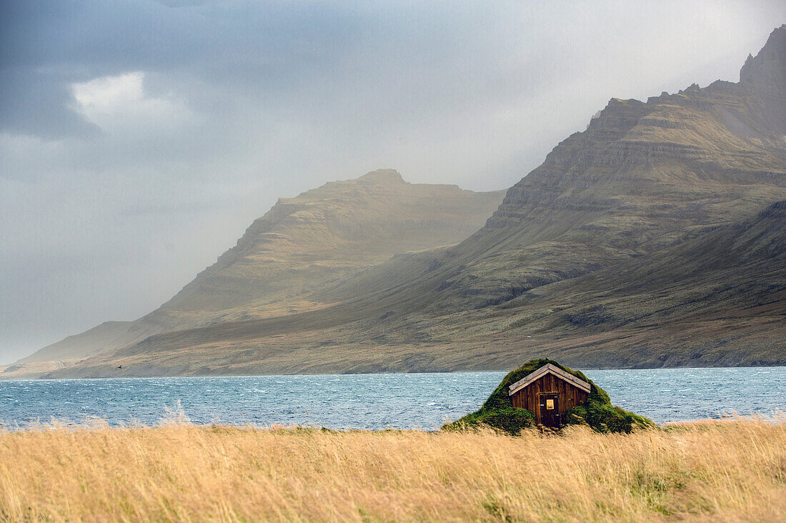 house with a grass roof, town of stodvarfjordur, eastern fjords, iceland, europe