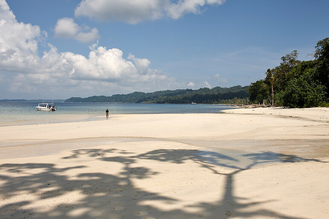 'Turtle Beach' Tauchspot, Bootstour mit Barefoot Scuba, Kuestenwald ohne Palmen, Nordwestkueste, Havelock Island, Andaman Islands, Union Territory, India