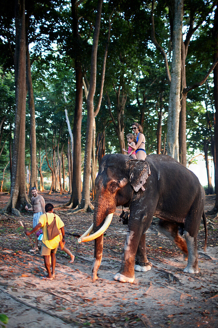 Elefant Rajan traegt Touristen zum Barefoot at Havelock Resort, Badak Baeume direkt am Beach No.7, Westkueste, Havelock Island, Andaman Islands, Union Territory, India