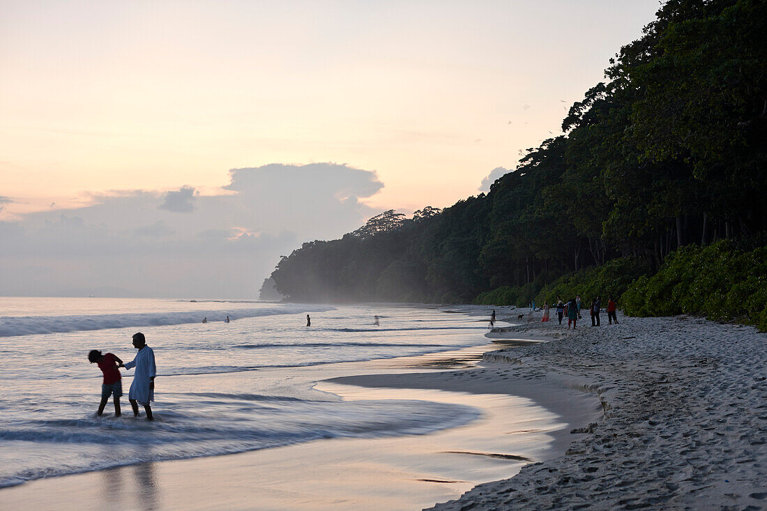 Beach No.7, or Radhanagar Beach, in the evening, forest without palms, West Coast, Havelock Island, Andaman Islands, Union Territory, India