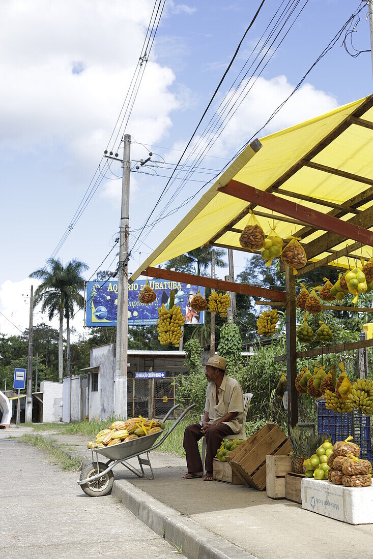 Bananas de Ouro (Goldbananen), Obst- und Gemuesehaendler an Hauptstrasse SP-125 in Ubatuba, an Parque Serra do Mar, Costa Verde, Sao Paulo, Brasilien