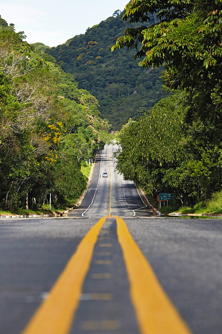 Rodovia Rio - Santos, SP -101, coastal road leading through a coastal forest in Picinguaba, Costa Verde, Sao Paulo, Brazil