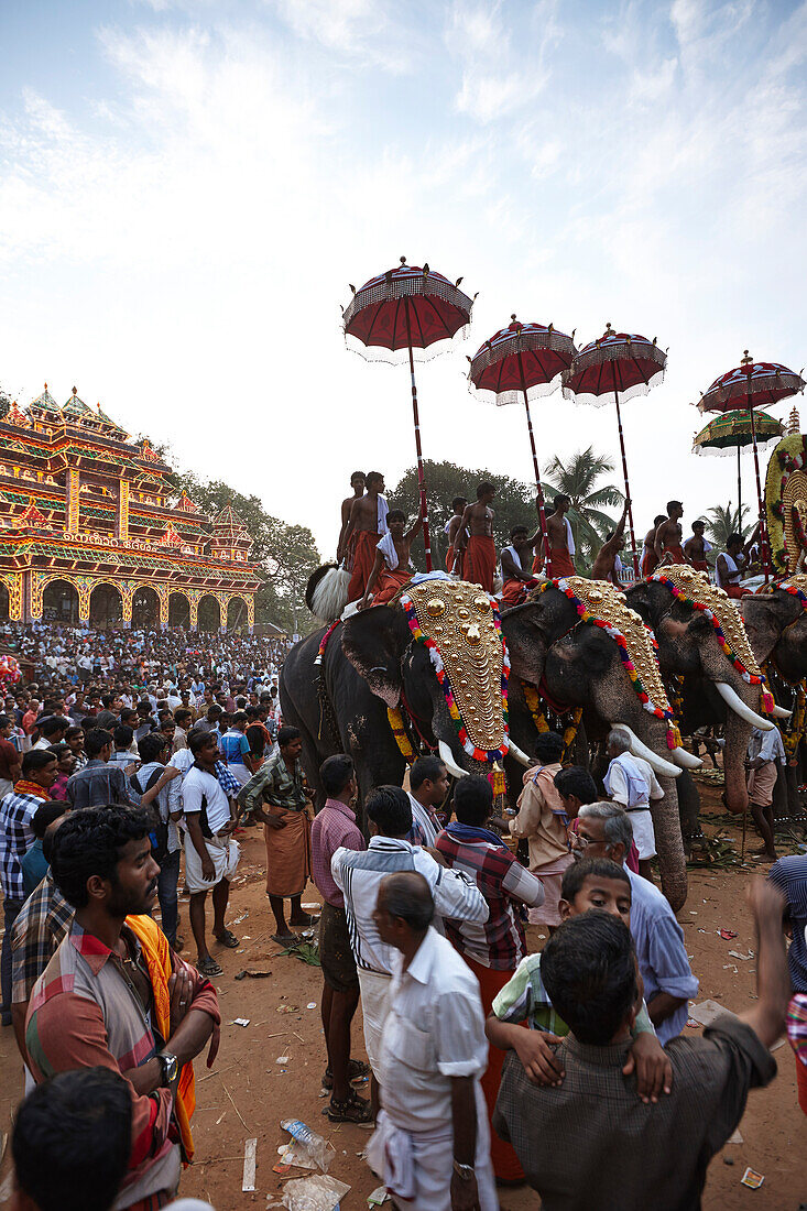 Geschmueckte Elefanten inmitten grosser Maennermengen, dahinter illuminiertes Holzgeruest Aana Pandal, Nemmara Vela, Vela ist Festival welches im Sommer nach der Ernte stattfindet, Hindu-Tempel-Fest im Dorf Nemmara, bei Pallakad, Kerala, Indien