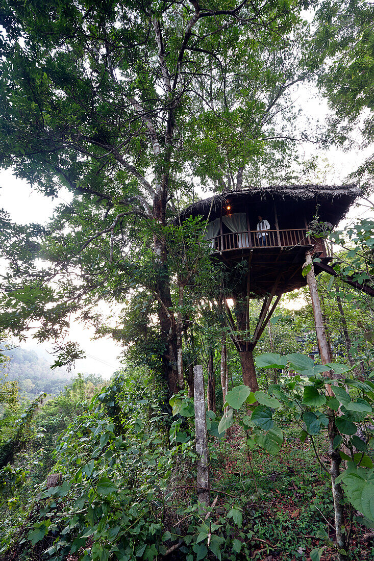 Treehouse from the Rainforest Lodge, in Athirapally near Chalakudy River, east of Chalakudy, Western Ghats, Kerala, India