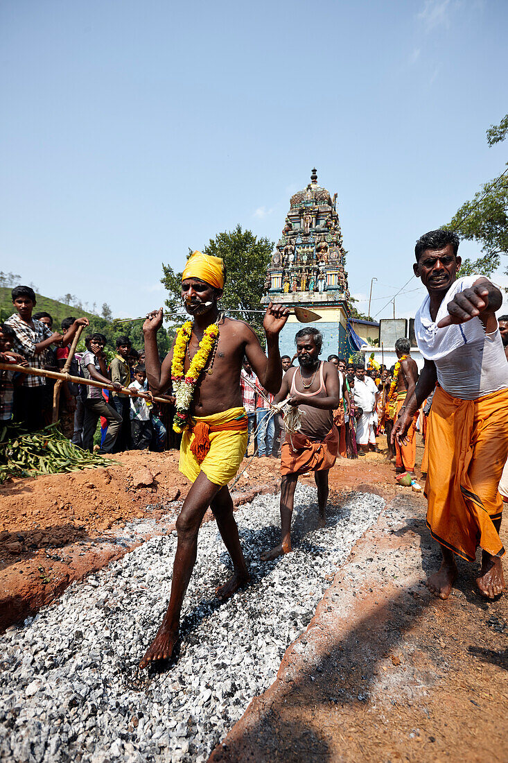 Glaubender ueber gluehende kohlen laufend, Sri Vinayakar Tempelfest, jaehrliches Hindufest im Dorf Nadukahni, nordwestlich der Nilgiri Hills (Ooty), Western Ghats, Tamil Nadu, Indien