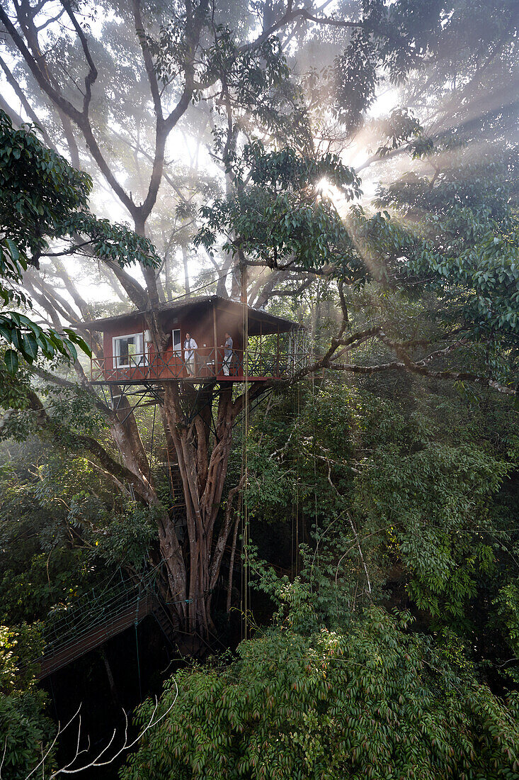 Baumhaus Room 601, Treehouse 1 des Vythiri Resort, bei Lakkidi, Wayanad, nordoestlich Kozhikode, Kerala, Western Ghats, Indien