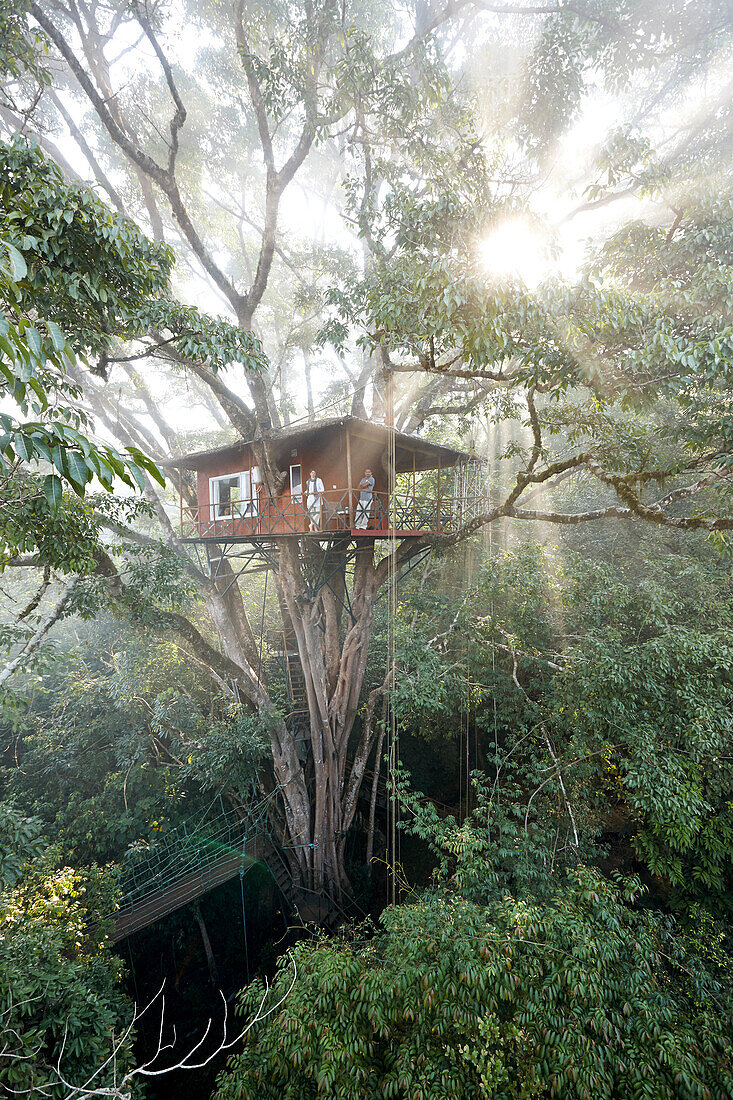 Baumhaus Room 601, Treehouse 1 des Vythiri Resort, bei Lakkidi, Wayanad, nordoestlich Kozhikode, Kerala, Western Ghats, Indien