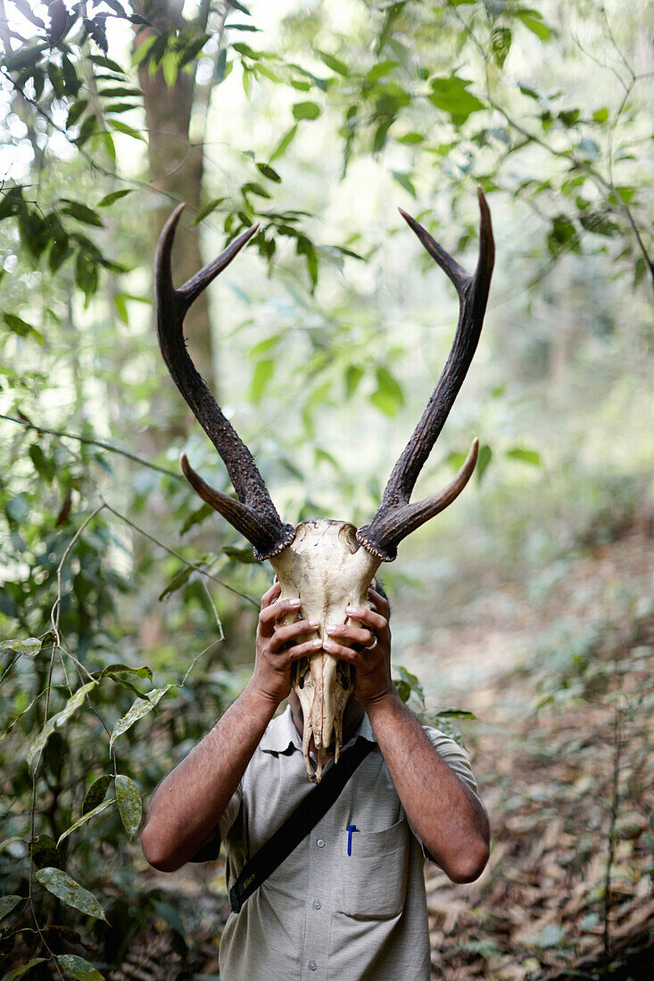 Wanderung durch wilden Wald ohne Weg, Guide Bijish findet Schaedel eines Samba Deers, Talimala Reserve Nature Reserve Forest am Vythiri Resort, bei Lakkidi, Wayanad, nordoestlich Kozhikode, Kerala, Western Ghats, Indien