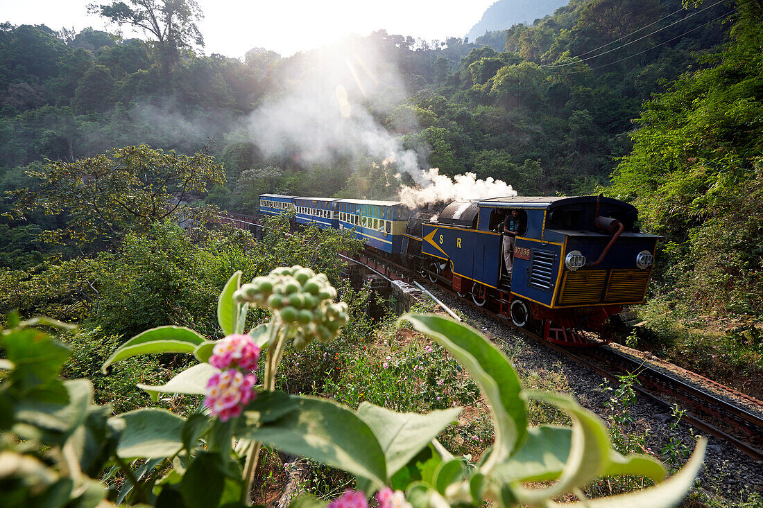 Diesel Dampflok der Nilgiri Mountain Railway, Zahnradtechnik, ca. 1.000m über NN, kommt nachmittags aus Conoor, fährt nach Mettupalayam, Nilgiri Hills, Western Ghats, Tamil Nadu, Indien