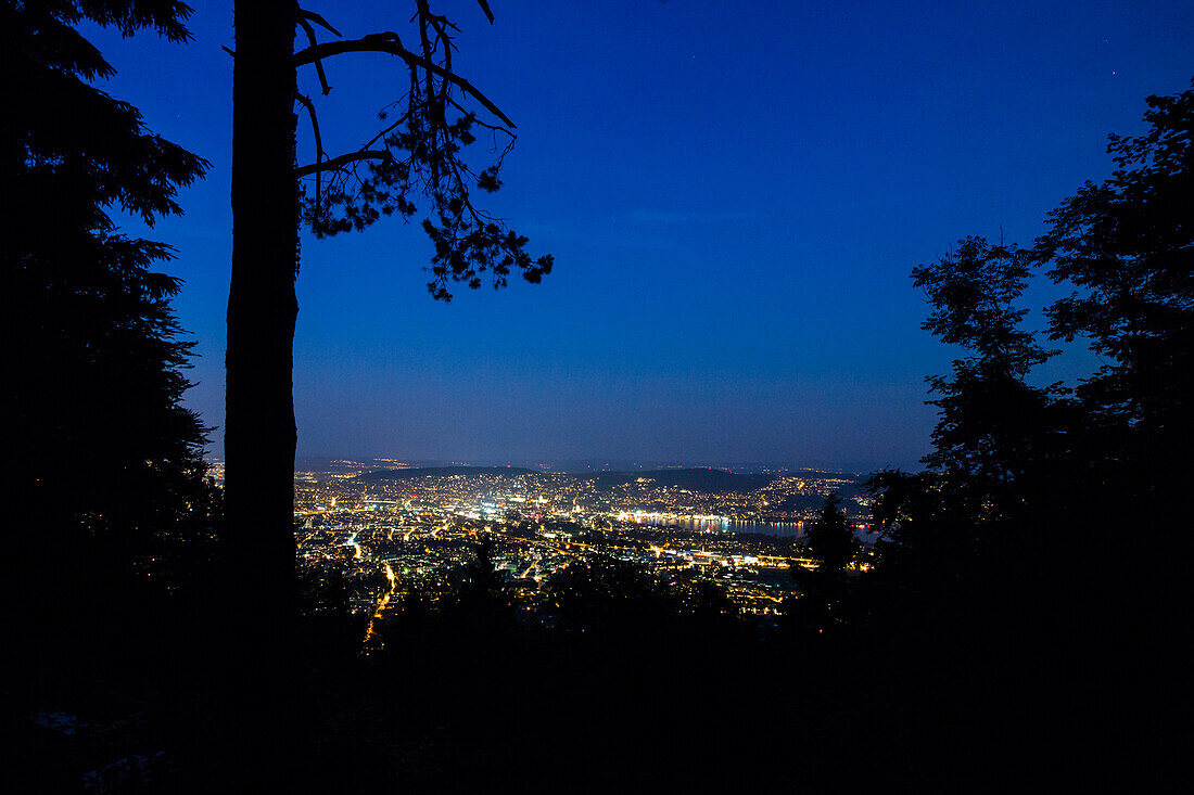 Zurich at night, View from the Uetliberg, Zurich, Switzerland