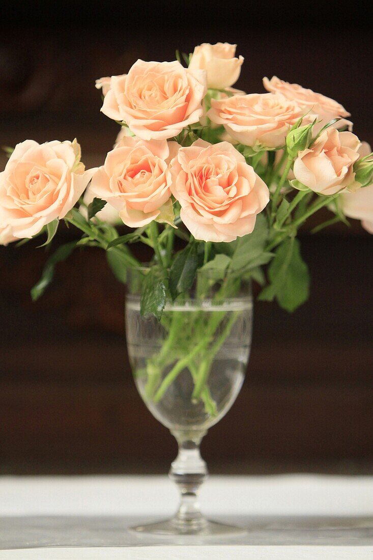 Roses on the altar, Provins, France