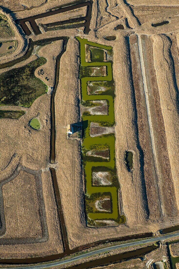 France, Western France, Charente-Maritime, Poitou-Charente, near Nieulle sur Seudre, salt marsh, aerial view