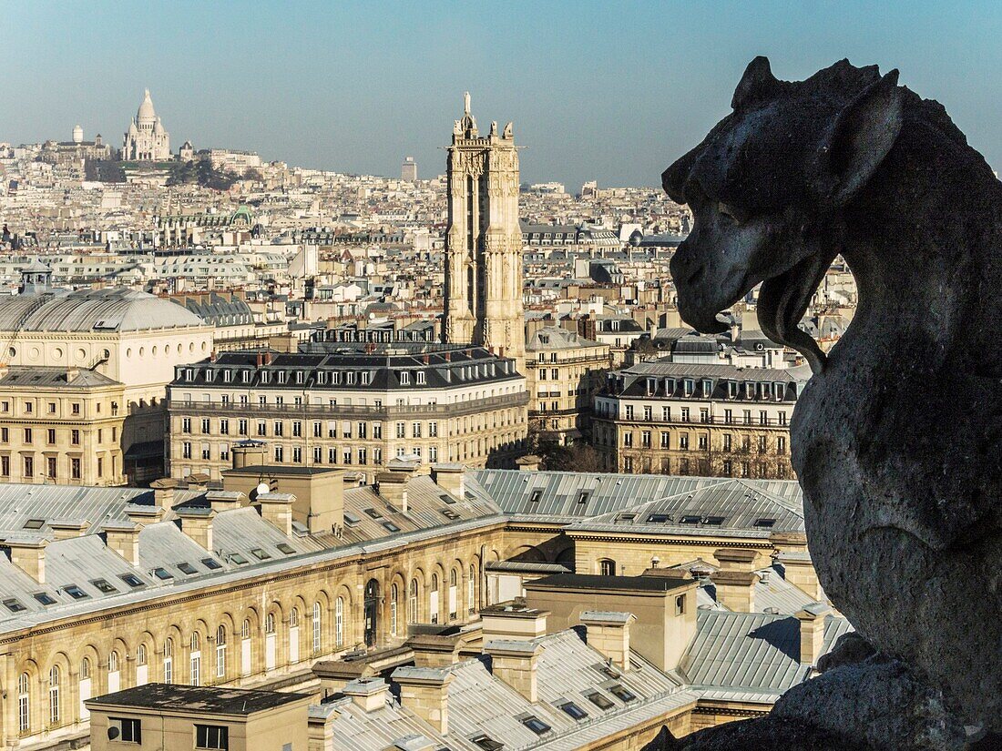 France, Paris, Notre Dame's gargoyle from a tower, view of Paris