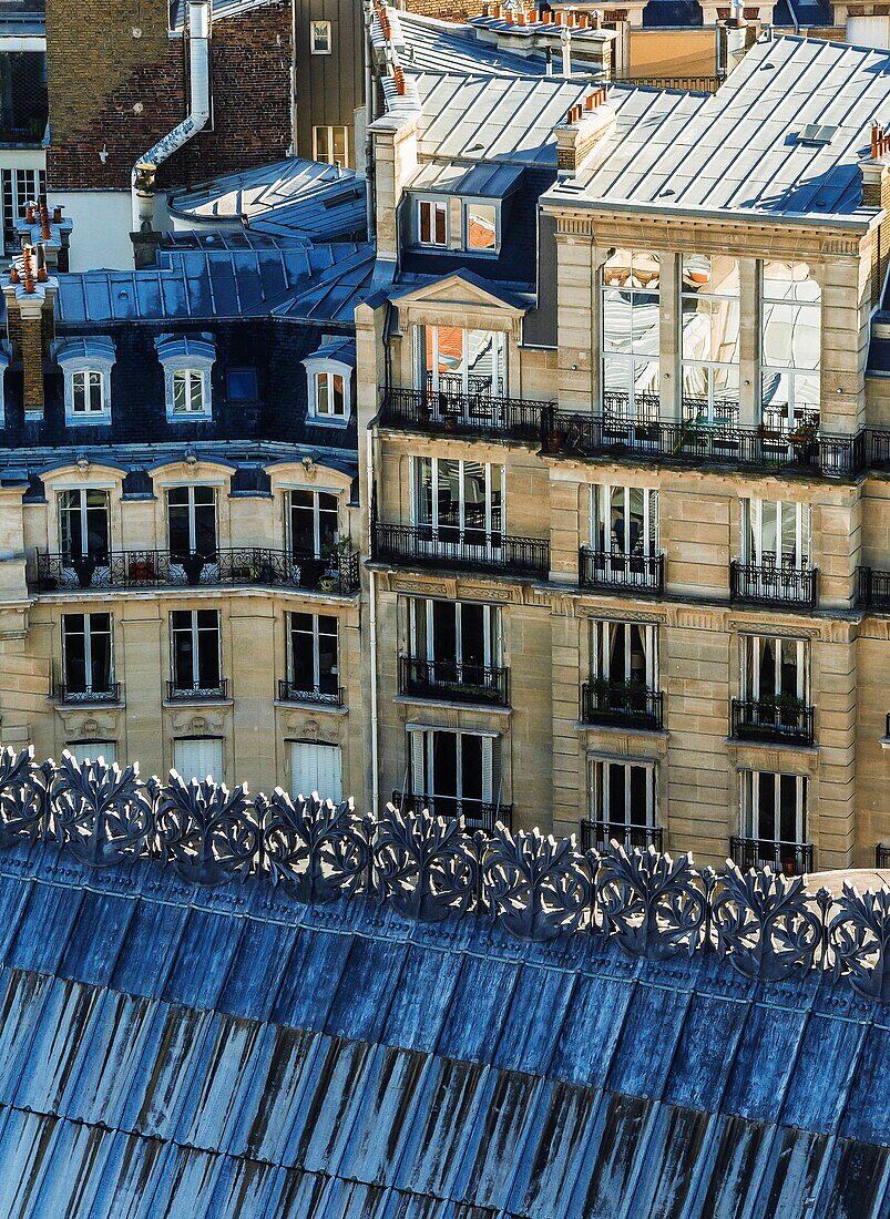 France, Paris, zinc roof of Notre dame cathedral, buildings in background