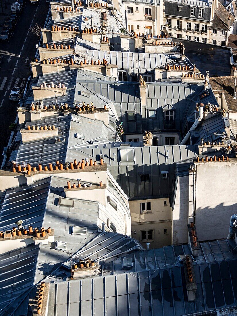 France, Paris, roofs of Ile de la cité from the tower of Notre Dame cathedral