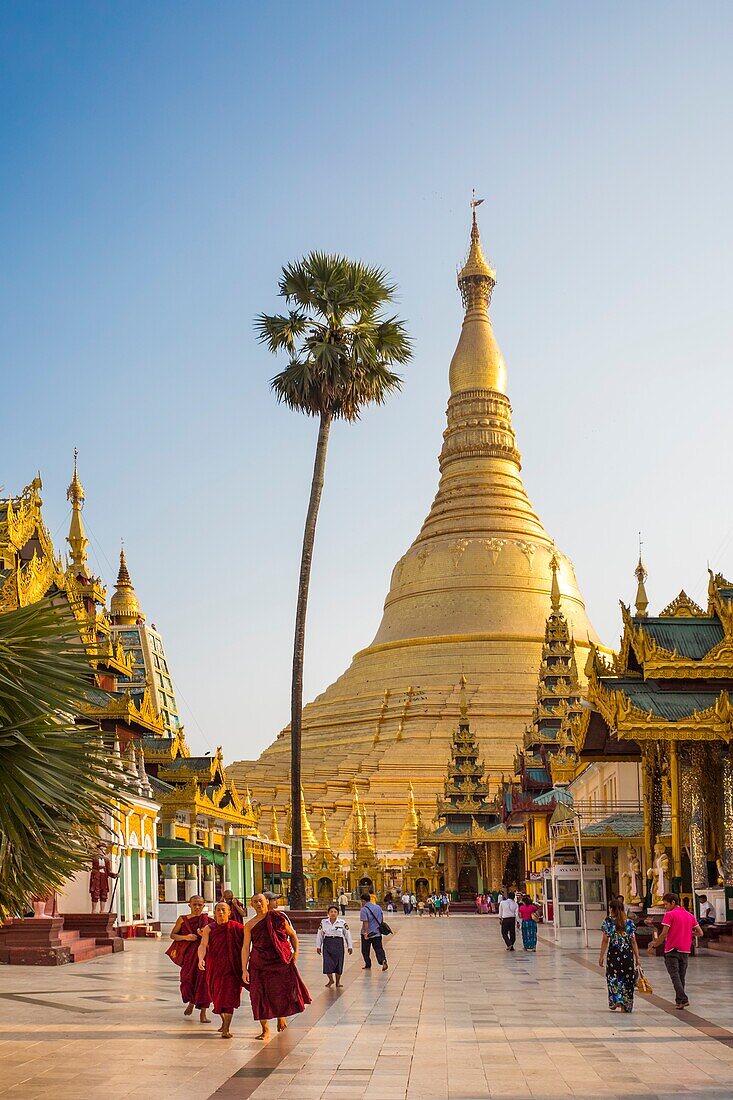 Myanmar, Yangon City,Shwedagon Pagoda