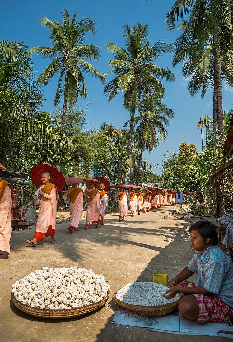 Myanmar,near Yangon Kyauktan City, Nuns paradeing