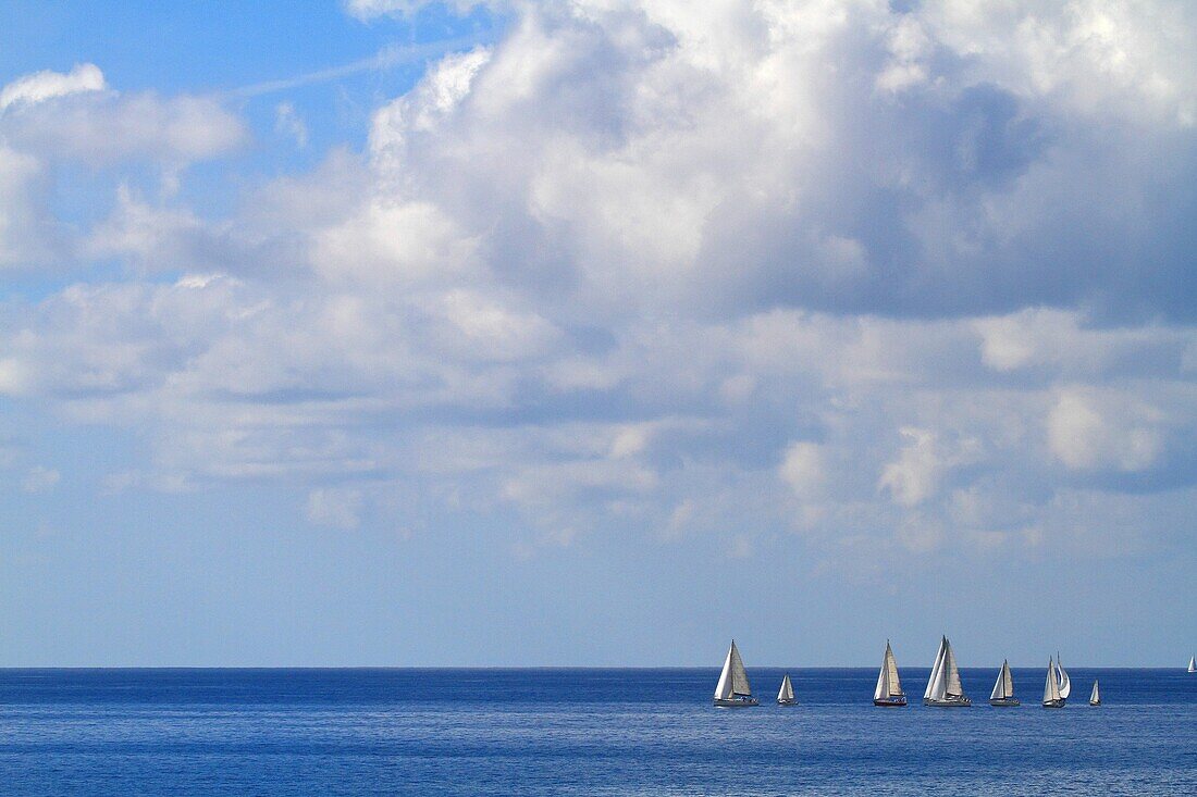 Spain, Canary islands, Fuerteventura, Regatta