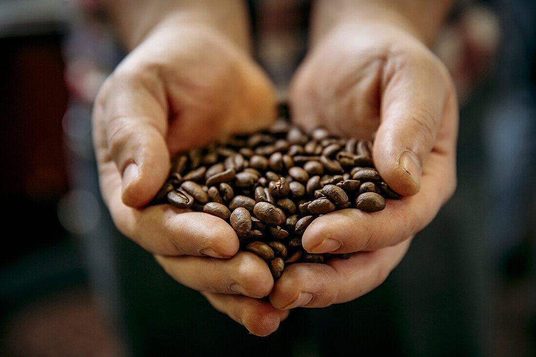 Close up of Caucasian man holding coffee beans