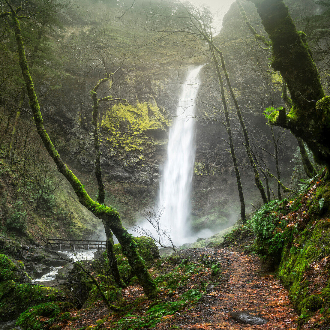 Waterfall pouring over cliff in rocky forest, Multnomah, Oregon, United States
