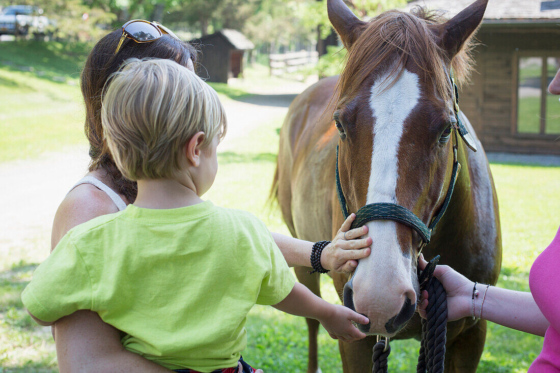 Caucasian mother and son petting horse in paddock