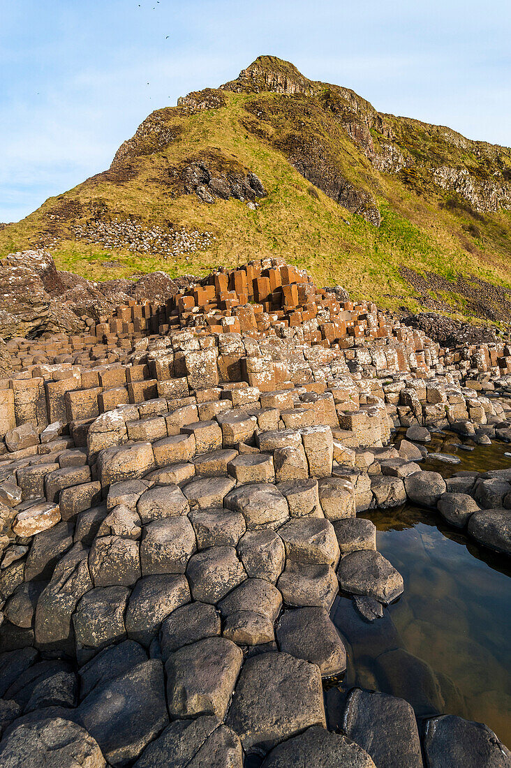 The Giants Causeway, UNESCO World Heritage Site, County Antrim, Ulster, Northern Ireland, United Kingdom, Europe