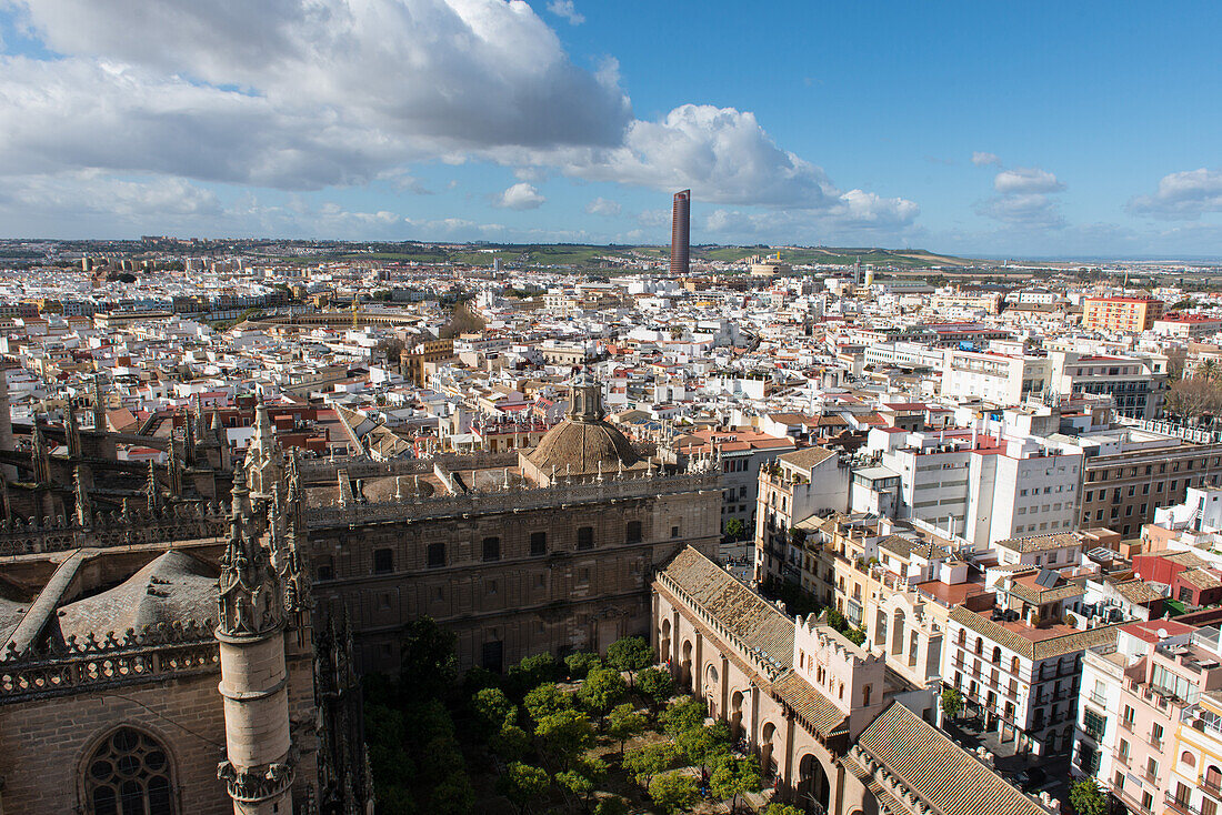 View of Seville from Giralda bell tower, Seville, Andalucia, Spain, Europe