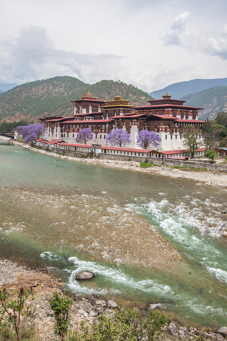 The Punakha Dzong (Pungtang Dechen Photrang Dzong) is the administrative centre of Punakha District in Punakha, Bhutan, Asia