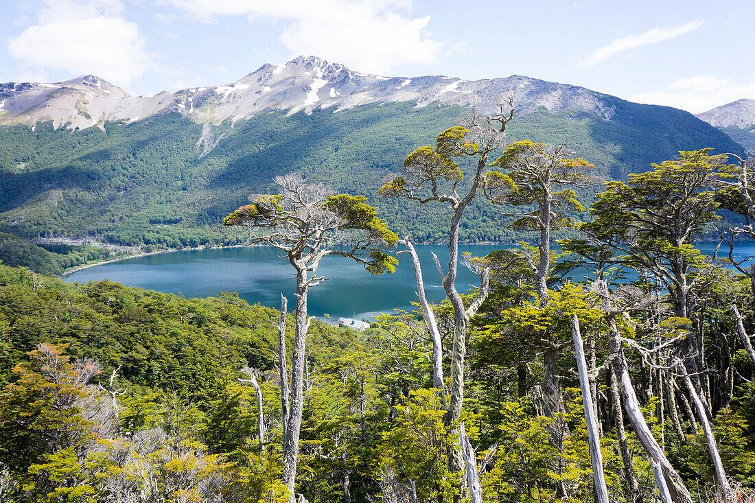 Alerces National Park, Argentina, South America