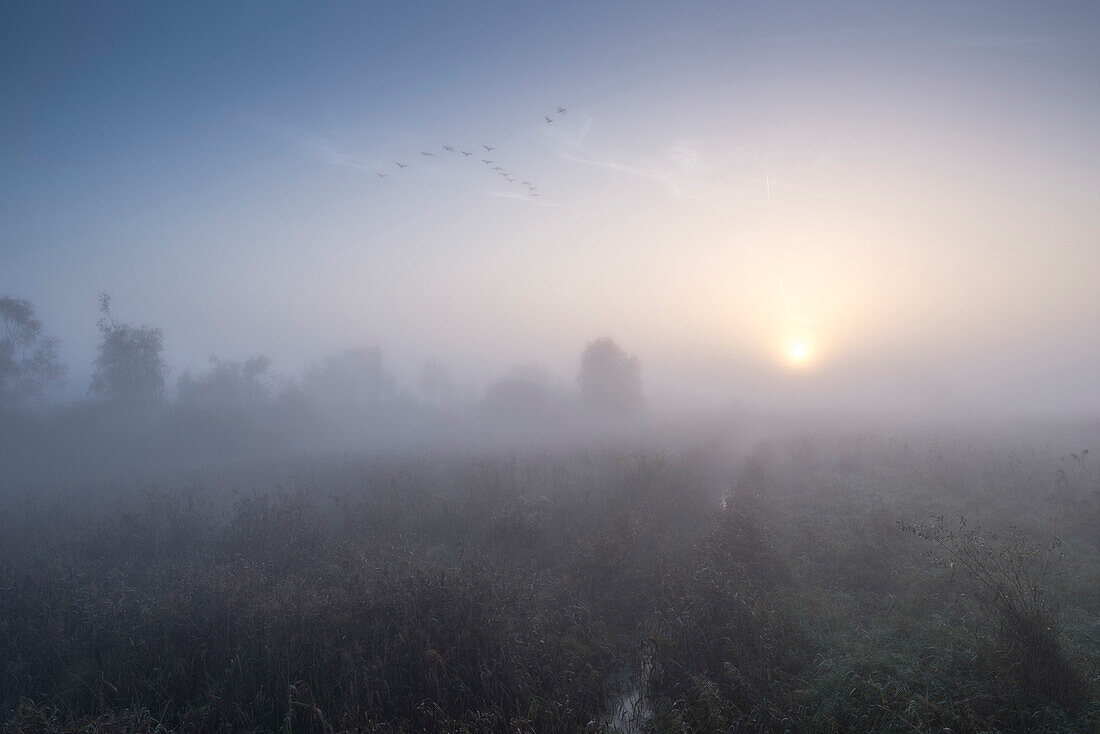 Pond landscape at dawn, shortly after sunrise in autumn - Linum in Brandenburg, north of Berlin, Germany