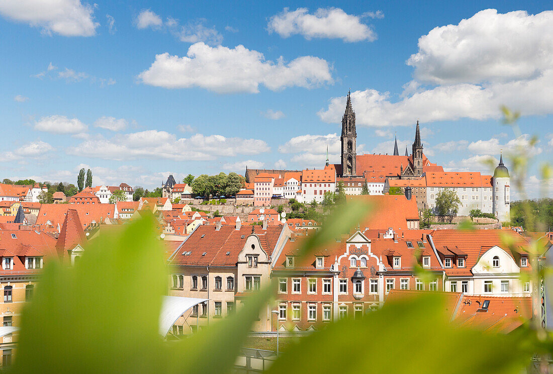 der Meißner Dom und die Albrechtsburg auf dem Burgberg prägen die Silhouette von Meissen, Meißen, Sachsen, Deutschland, Europa