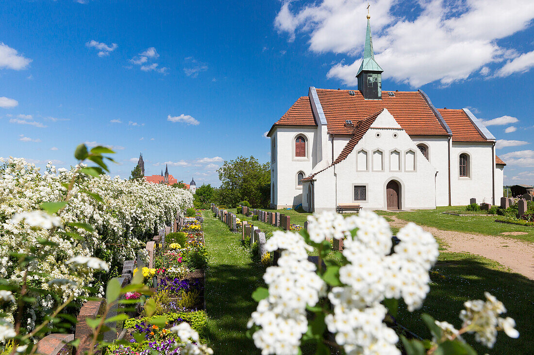 vom nahe gelegenen Friedhof, Blick auf den Meißner Dom und die Albrechtsburg auf dem Burgberg, Elbe, Meißen, Sachsen, Deutschland, Europa