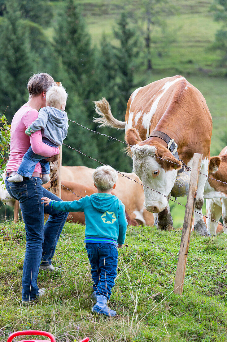 Familie, Mutter mit zwei Kinder stehen vor einer Kuhweide, Kühe mit Kuhglocke, Urlaub auf dem Bauernhof, MR, Maria Alm, Berchtesgadener Land, Alpen, Österreich, Europa