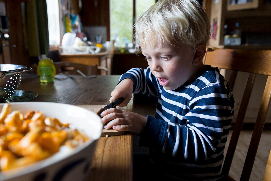 4 year old boy chopping chanterelle mushrooms inside an alpine hut, alp, holiday, MR, Maria Alm, Berchtesgadener Land, Alps, Austria, Europe