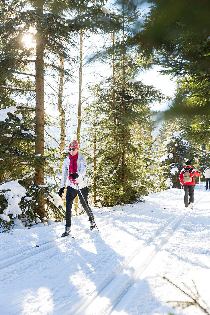 Women skiing in a winter forest, cross-country ski run, MR, Holzhau, Saxony, Germany