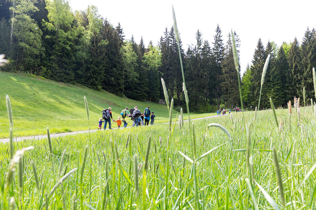 Familienwanderung zu den Kletterfelsen, Sächsische Schweiz, Elbsandsteingebirge, Bielatal, bei Dresden, Sachsen, Deutschland, Europa