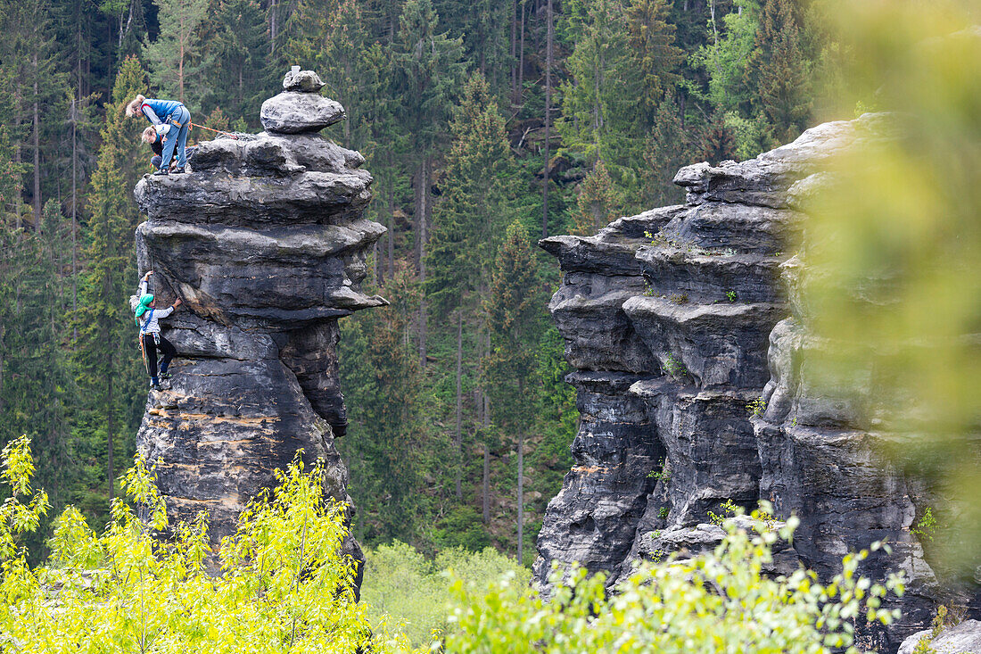 Kletterer in der Sächsischen Schweiz, Schraubenkopf, Alter Weg IV, Kletterfelsen, Sächsische Schweiz, Elbsandsteingebirge, Bielatal, bei Dresden, Sachsen, Deutschland, Europa