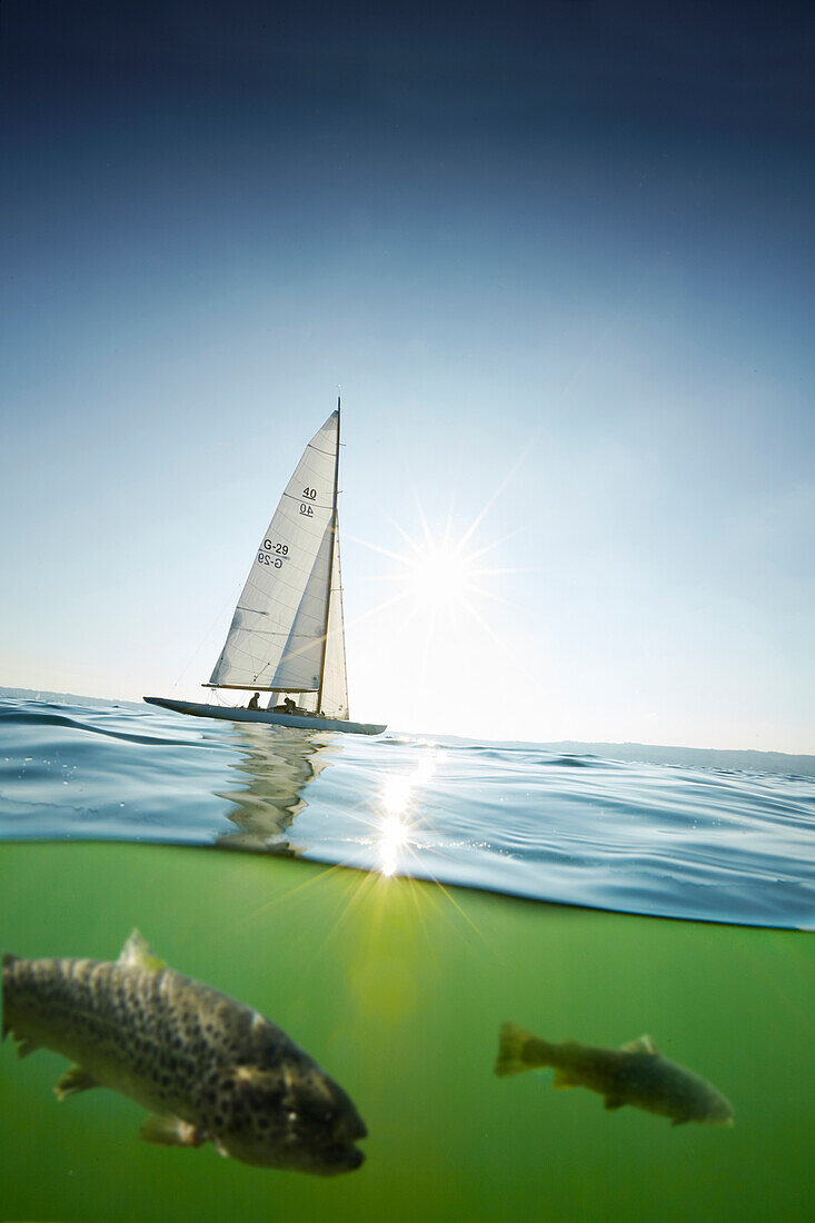 SCHÄRENKREUZER auf dem Starnberger See, Starnberger See, Bayern, Deutschland