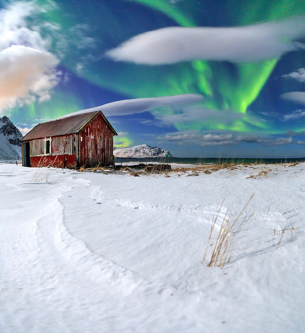 Northern Lights (aurora borealis) over an abandoned log cabin surrounded by snow, Flakstad, Lofoten Islands, Arctic, Norway, Scandinavia, Europe