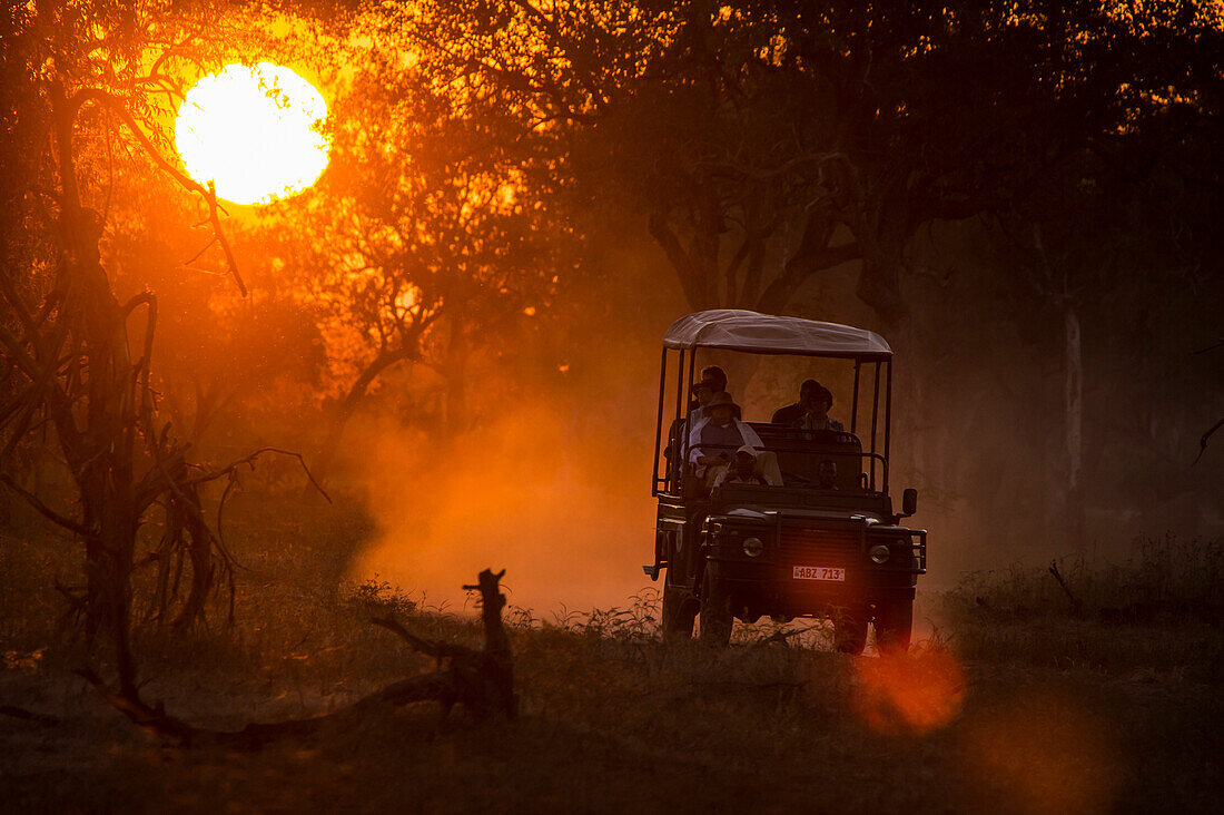 Jeep in backlight at sunset, South Luangwa National Park, Zambia, Africa