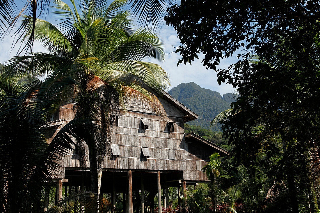 Traditional native Iban longhouse in Borneo, Malaysia, Southeast Asia, Asia