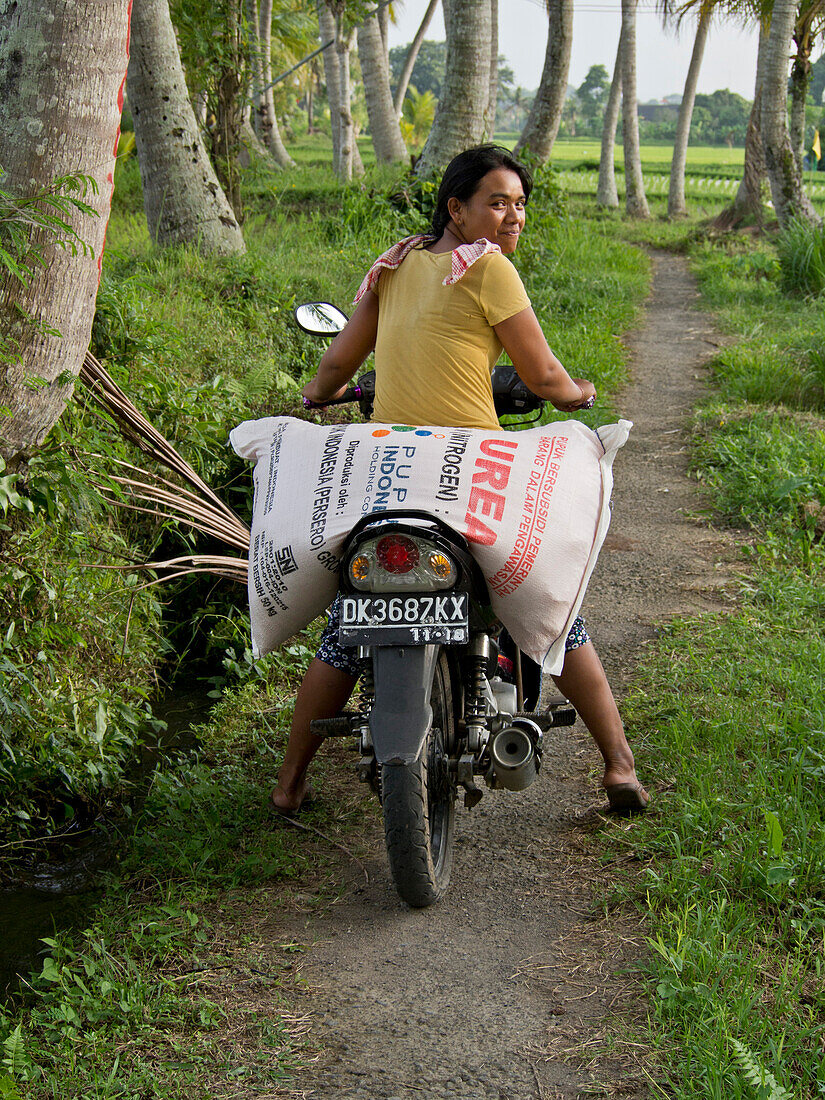 Woman carrying sack of rice on motorcycle in the highlands in Bali, Indonesia, Southeast Asia, Asia