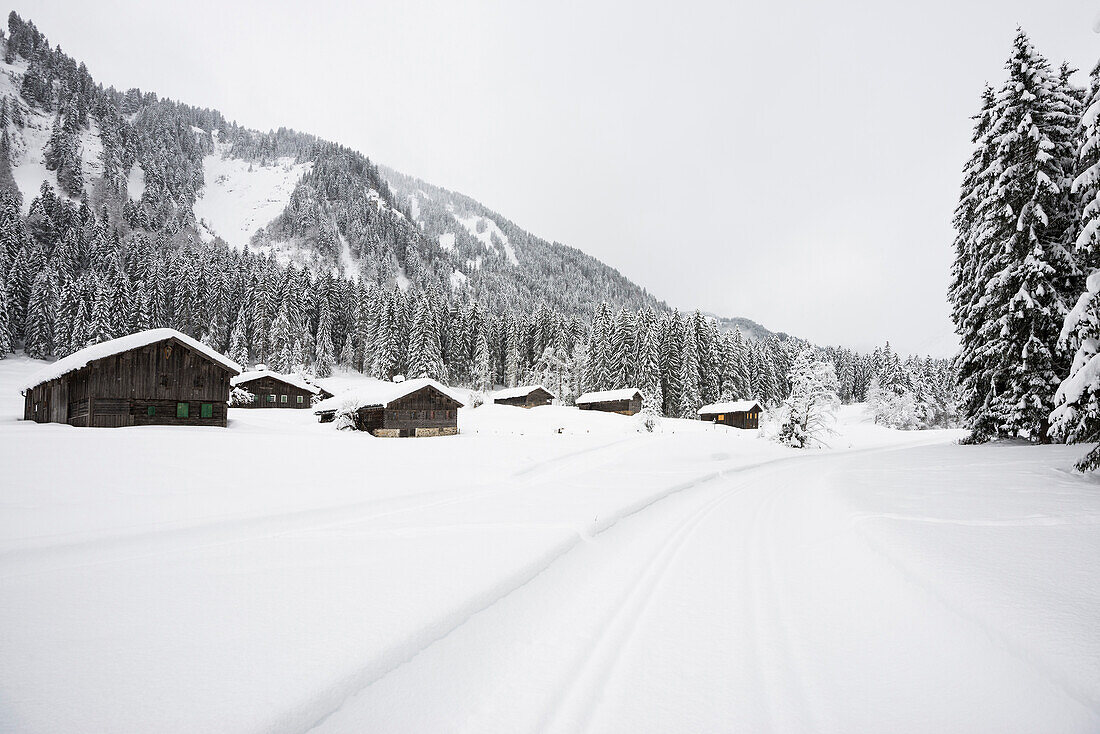 verschneite Holzhäuser, bei Schoppernau, Bezirk Bregenz, Bregenzerwald, Vorarlberg, Österreich