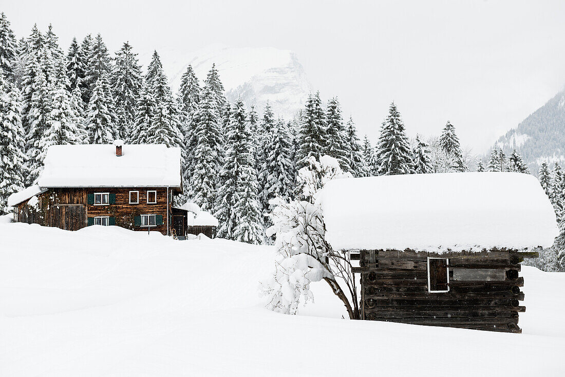 snow covered cabins, near Schoppernau, Bregenz district, Vorarlberg, Austria