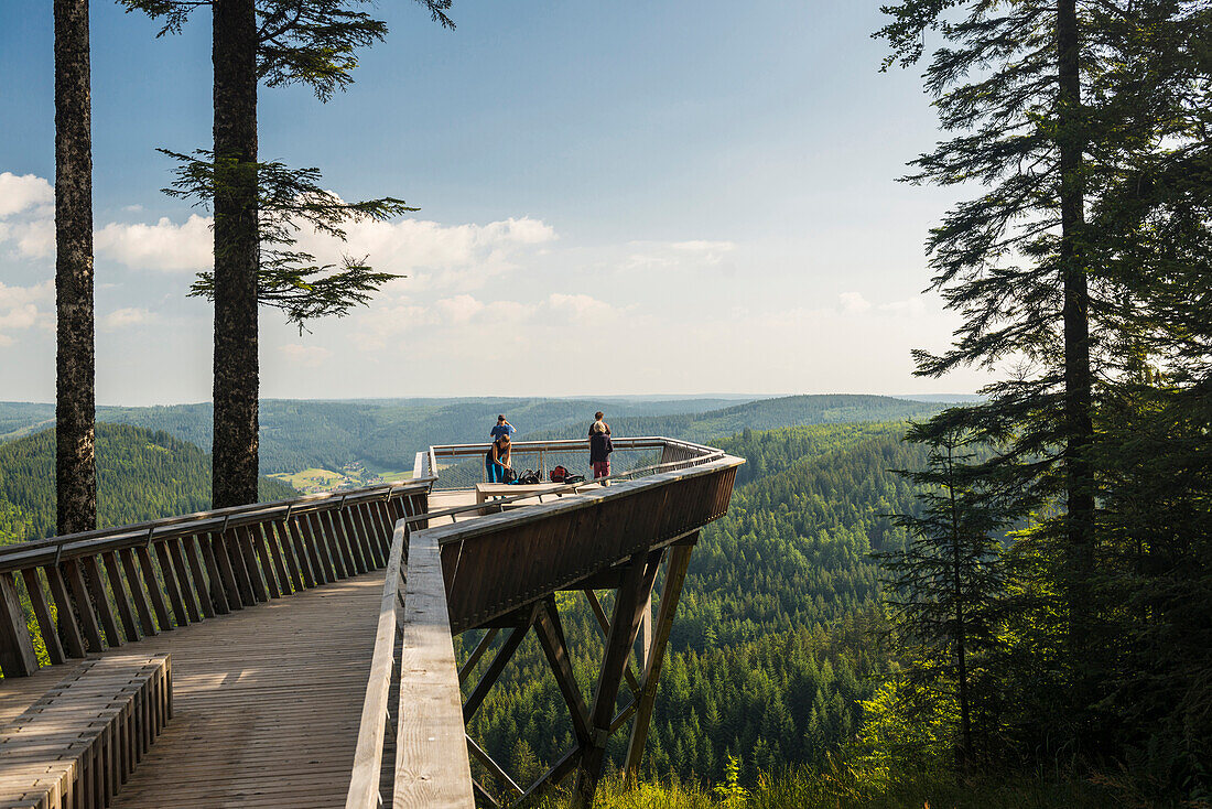 viewpoint, Buhlbachsee, near Baiersbronn, Black Forest National Park, Black Forest, Baden-Württemberg, Germany